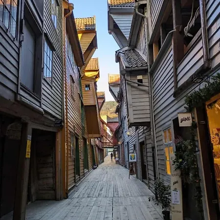 Large 1 Kilometer To Bryggen Апартаменты Берген