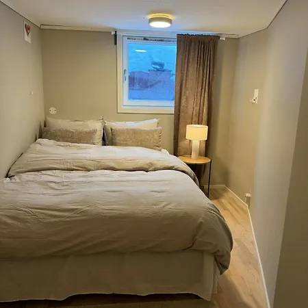 Large 1 Kilometer To Bryggen Appartement